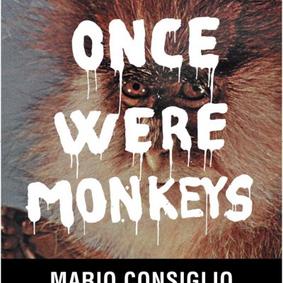 PERUGIA · once were monkeys