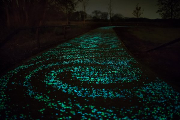 Van Gogh Path opened in Neunen, the Netherlands in November, 2014, to the delight of cyclists and the local community. Photo: Courtesy of Studio Roosegaarde.