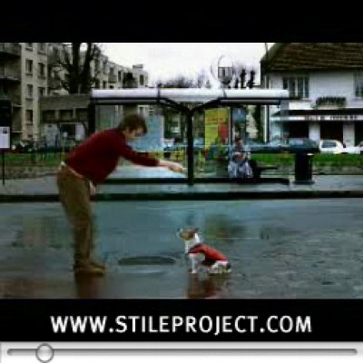 ICH LIEBE HUNDE!