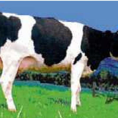 campina milch genverseucht